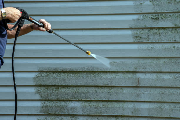 Best Driveway Pressure Washing  in Asbury, IA